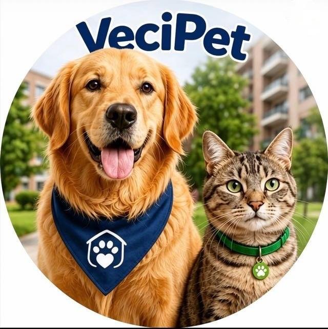 Perro y gato cuidados por VeciPet en un conjunto residencial